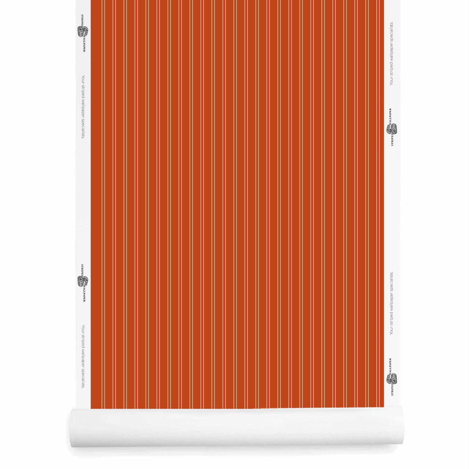 Burnt Orange Pinstriped Wallpaper wallpaper roll – Lachman