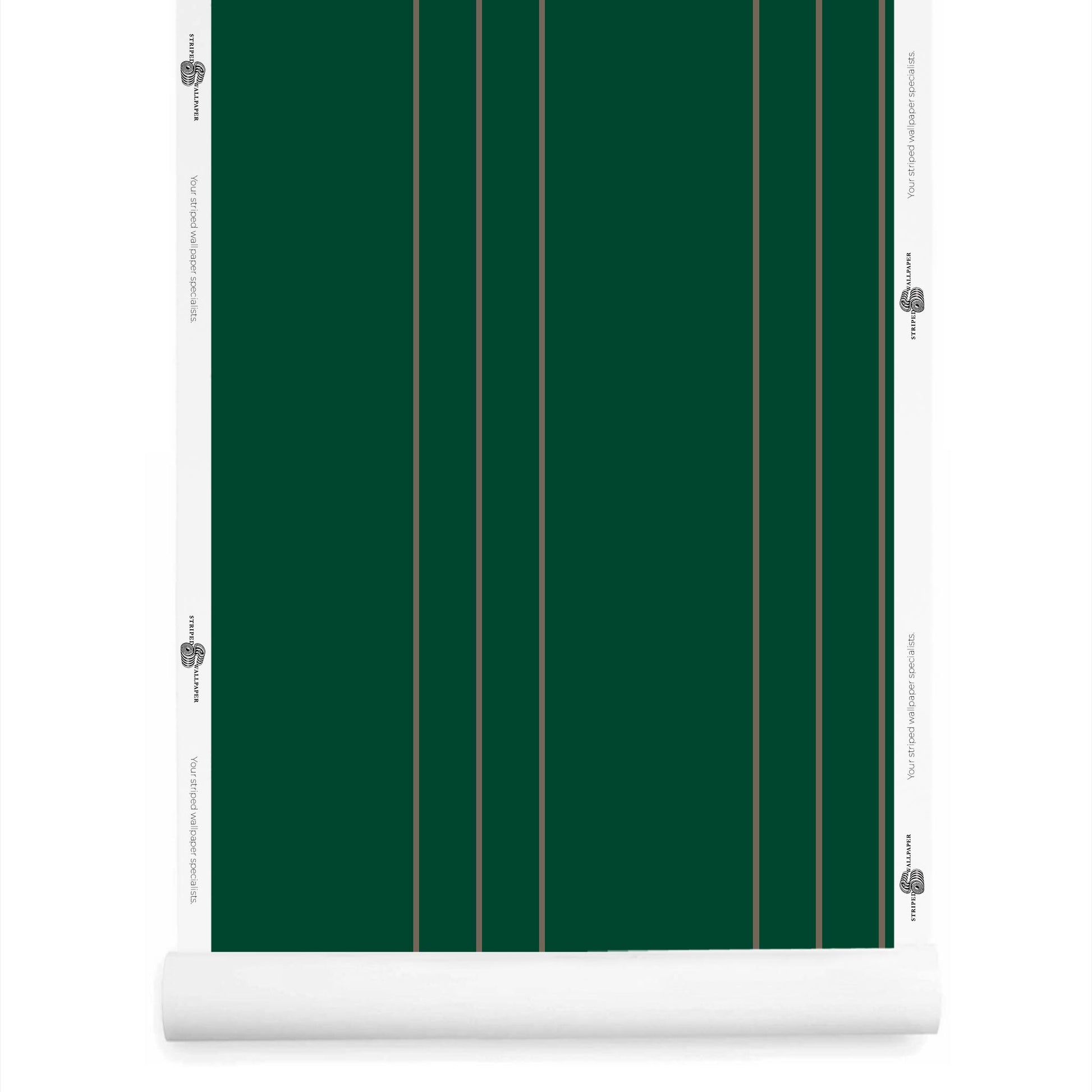 dark green pinstripe wallpaper roll – Arno forest and drab colorway