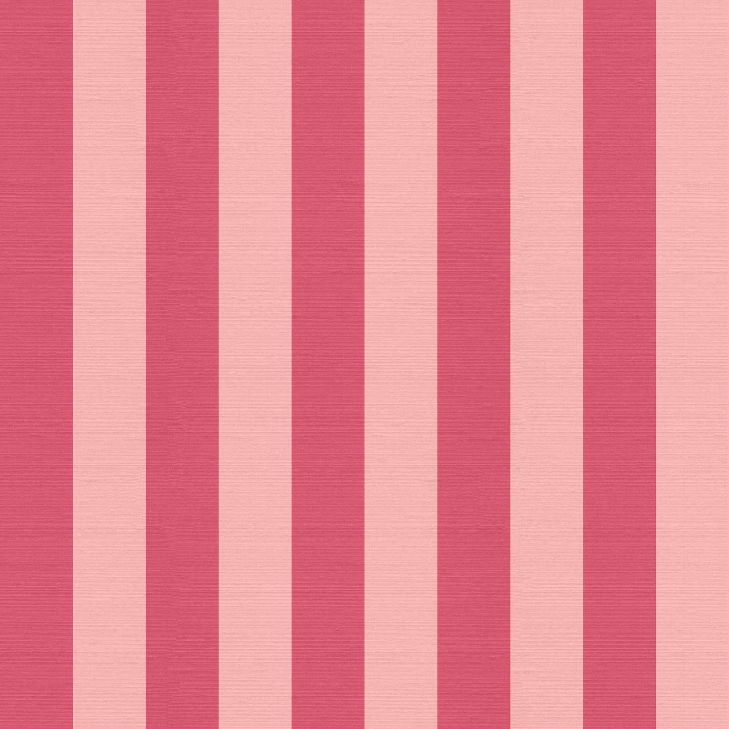 pink stripe wallpaper detail showing bold pink stripes and silk finish