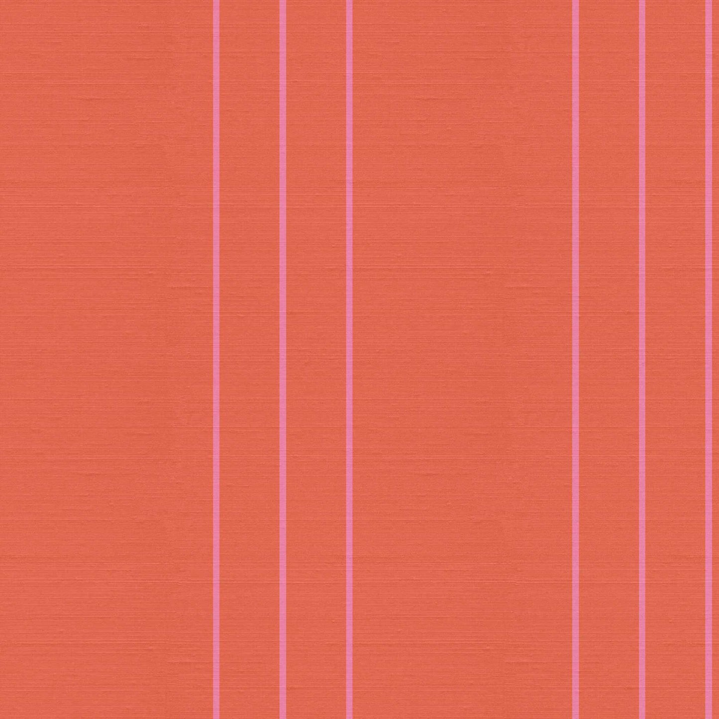 Arno pinstripe wallpaper pattern in Sedona salmon orange and Double Bubble bubblegum pink, silk finish striped wallpaper close-up