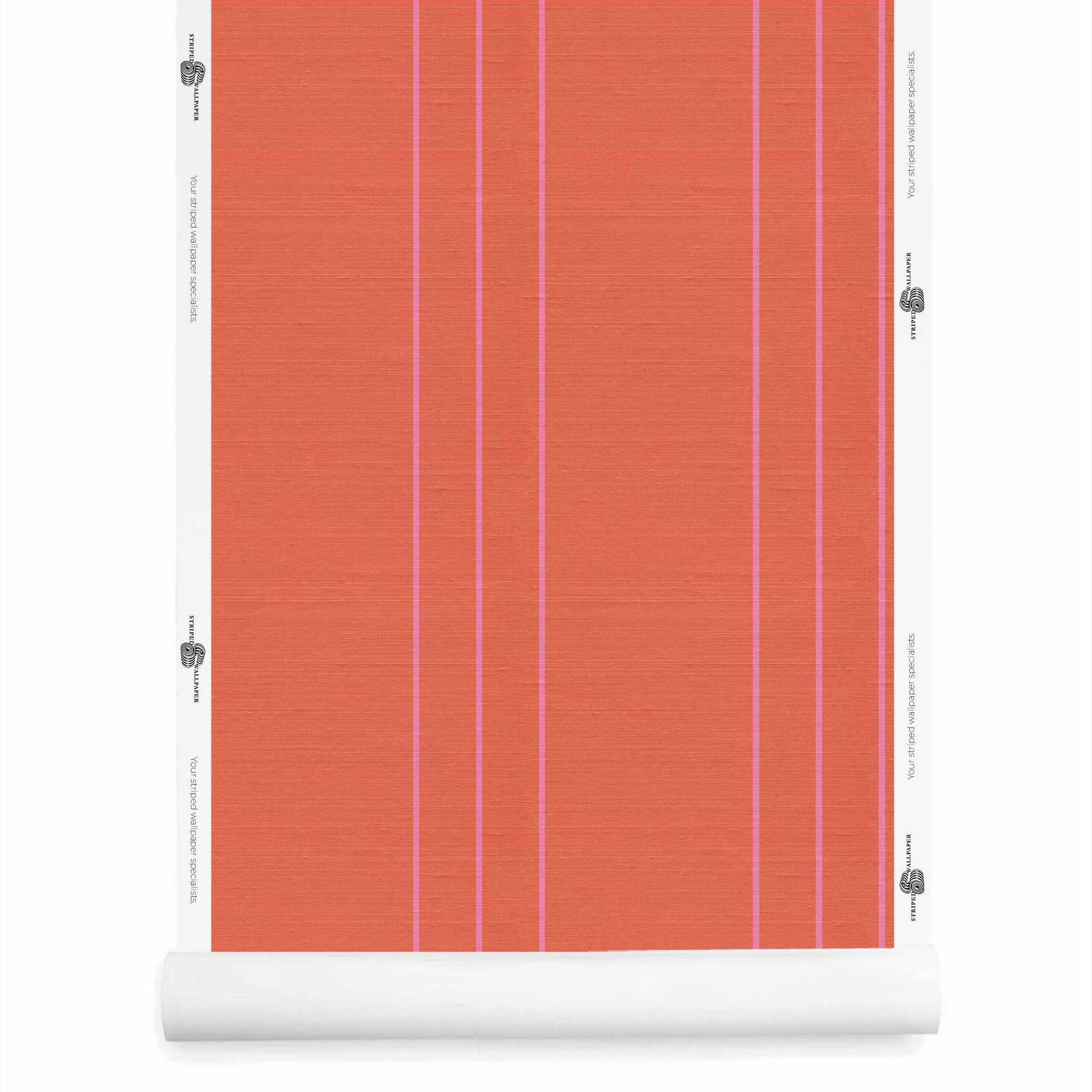Pink and orange pinstriped wallpaper roll with silk finish, Sedona and Double Bubble pinstripe by Striped Wallpaper