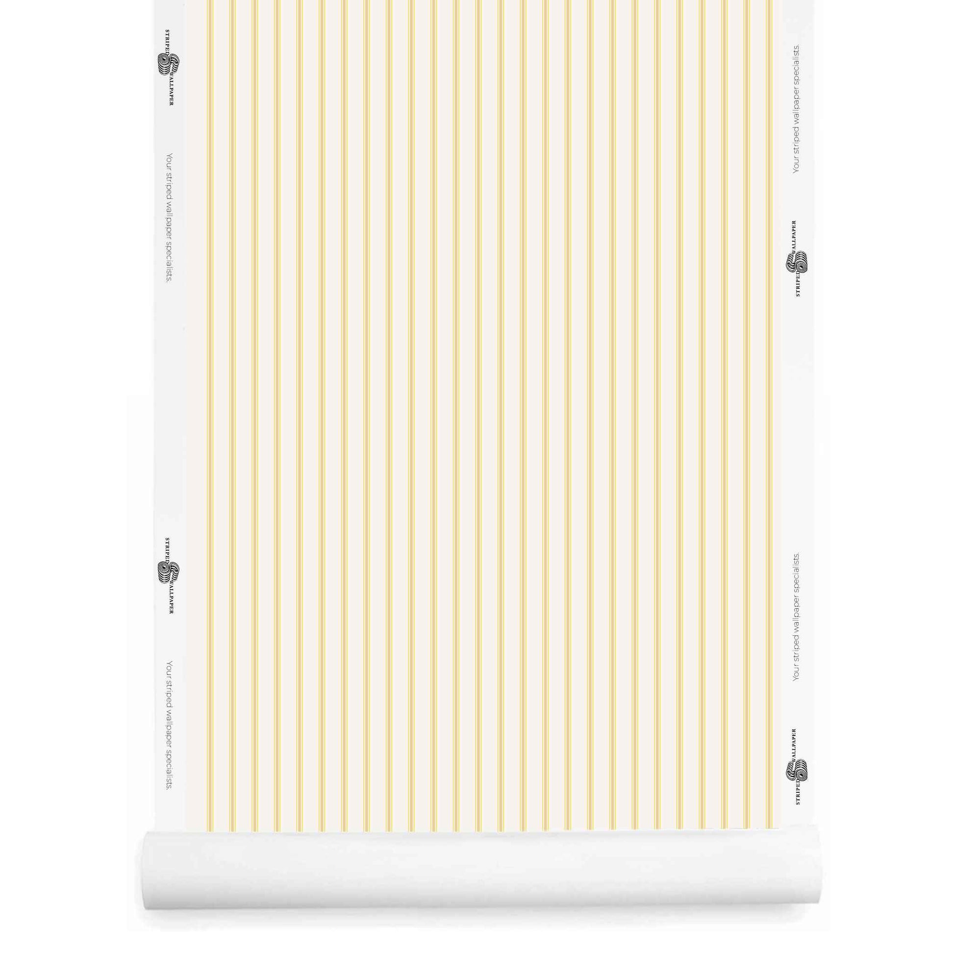 Yellow and white ticking striped wallpaper roll – Lachman